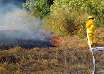 PROTECCIÓN CIVIL MUNICIPAL SOFOCA INCENDIOS DE PASTIZALES EN DISTINTOS PUNTOS DE LA CIUDAD