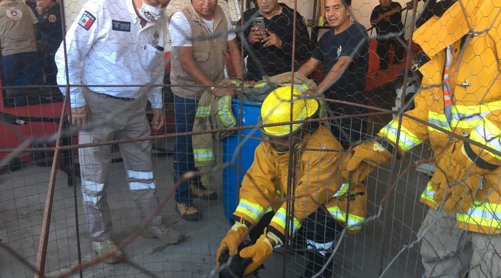 RESGUARDAN ÁGUILA ENCONTRADA EN LA COLONIA “EL RINCONCITO”