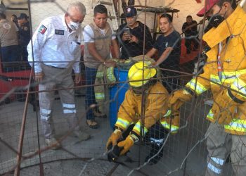 RESGUARDAN ÁGUILA ENCONTRADA EN LA COLONIA “EL RINCONCITO”