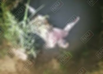 Localizan a una persona putrefacta en Suchiate