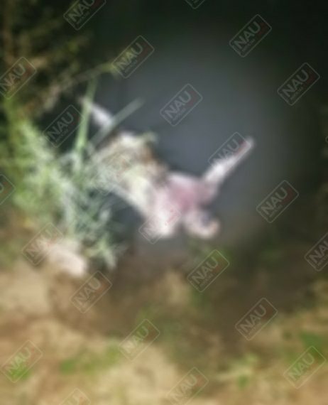 Localizan a una persona putrefacta en Suchiate