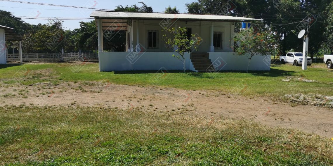 Autoridades de los tres niveles realizan cateos en Tapachula y Tuxtla Chico