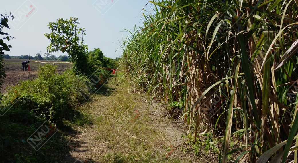 Asesinan a pareja privada de su libertad en Mazatán