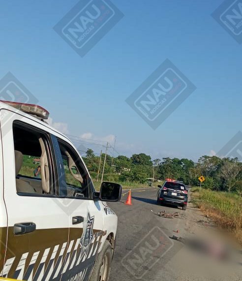 Muere señor de la tercera edad al ser atropellado en el Ejido Álvaro Obregón de Tapachula