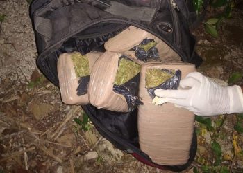 INICIA FGR INVESTIGACIÓN POR EL ASEGURAMIENTO DE CUATRO KILOS DE MARIHUANA EN CHIAPAS