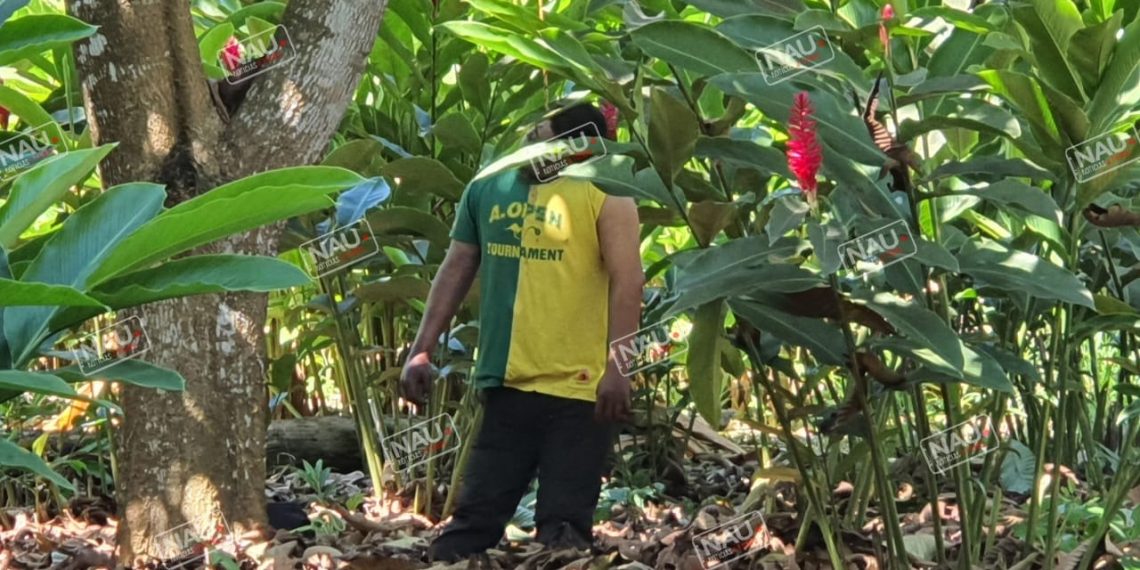 Desconocido se ahorcó en un terreno del ejido Raymundo Enríquez