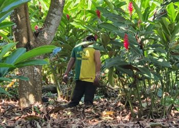 Desconocido se ahorcó en un terreno del ejido Raymundo Enríquez