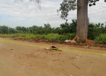 Le dieron un balazo en la Cabeza