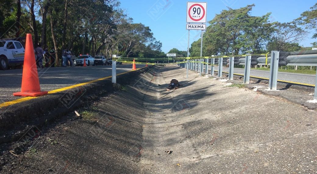 Un vehículo no identificado atropelló a una persona, falleció en el lugar de los hechos