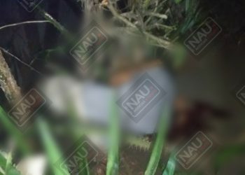 Ataque armado deja un muerto en Puerto Madero