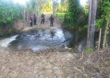 Localizan parte del cuerpo de una persona embolsada