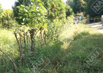 Ejecutan a comprador de mango en Acapetahua