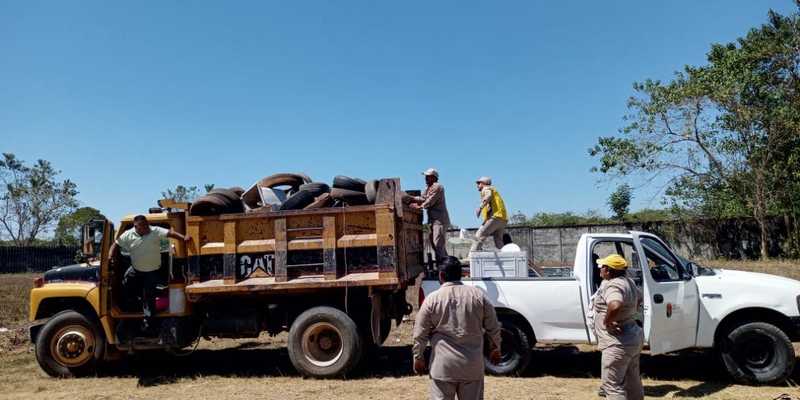 COMPLETAN PROGRAMA DE DESCACHARRAMIENTO PERMANENTE EN ZONA NORPONIENTE DE TAPACHULA
