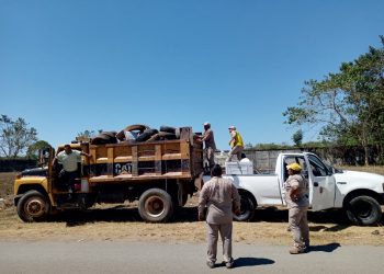 COMPLETAN PROGRAMA DE DESCACHARRAMIENTO PERMANENTE EN ZONA NORPONIENTE DE TAPACHULA