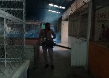 REALIZAN NEBULIZACIÓN EN MERCADOS DE TAPACHULA PARA EVITAR DENGUE, ZIKA Y CHIKUNGUNYA