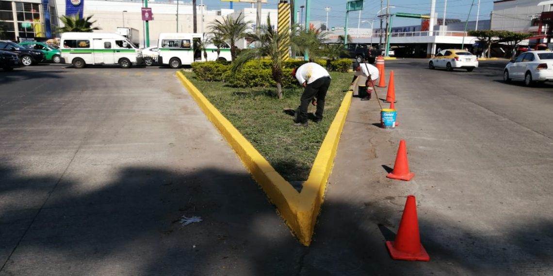 INVITAN A LA CIUDADANIA A SUMARSE AL PROGRAMA “PRIMAVERA”, PARA EMBELLECER A TAPACHULA