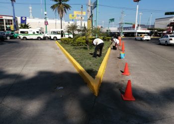 INVITAN A LA CIUDADANIA A SUMARSE AL PROGRAMA “PRIMAVERA”, PARA EMBELLECER A TAPACHULA