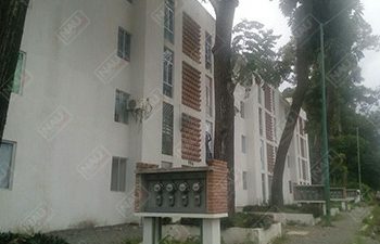 Roban motocicleta del conjunto habitacional La Flora