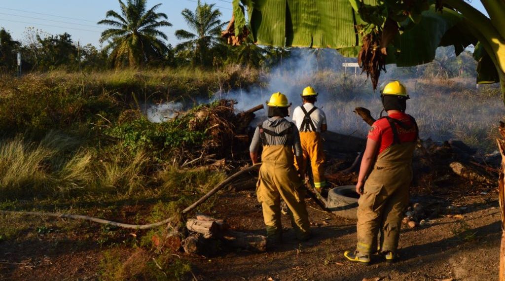 ELEMENTOS DE PC MUNICIPAL SOFOCAN INCENDIOS DE PASTIZAL EN DIVERSOS PUNTOS DE LA CIUDAD