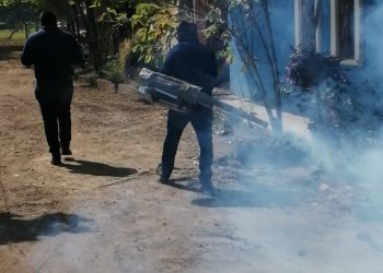 CONTINÚA PROGRAMA DE DESCACHARRAMIENTO EN COLONIAS DE TAPACHULA, PARA EVITAR ENFERMEDADES POR ARBOVIROSIS