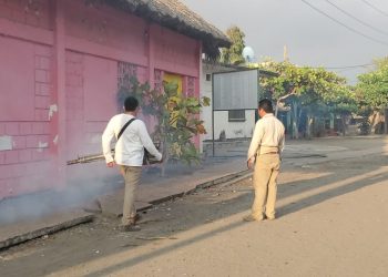 SE REALIZARÁN ACCIONES CONTRA DENGUE, ZIKA Y CHIKUNGUNYA EN PUERTO MADERO