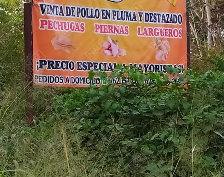 Roban 70 mil pesos en asalto a pollería Mar-y