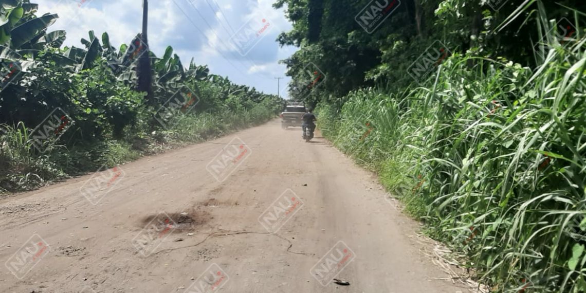 Le dieron un balazo en la cabeza y aún vive