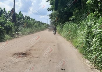 Le dieron un balazo en la cabeza y aún vive