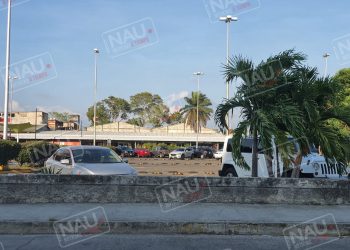 Le robaron un celular e intentaron abusar sexualmente.