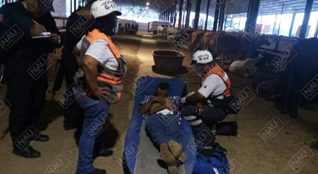 Toro patea a un empleado en el interior de la muestra ganadera