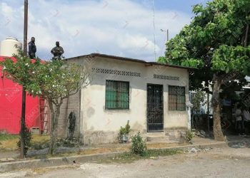 Lesionan al lobo de 5 cuchilladas
