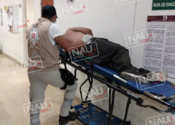 Abeja africanizada atacó a una pareja en el fraccionamiento los coquitos.