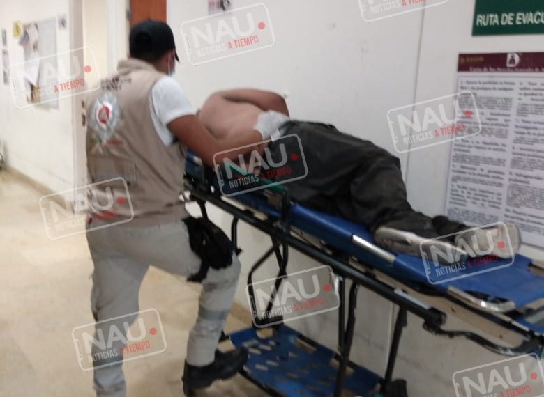 Abeja africanizada atacó a una pareja en el fraccionamiento los coquitos.