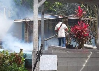 INICIAN JORNADAS DE ELIMINACIÓN DE CRIADEROS EN PANTEONES DE TAPACHULA