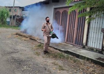EN TAPACHULA SE MANTIENEN OPERATIVOS PARA COMBATE AL DENGUE, ZIKA Y CHIKUNGUNYA