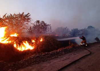 LLAMA PROTECCIÓN CIVIL A EVITAR INCENDIOS EN LOTES BALDIOS EN TAPACHULA