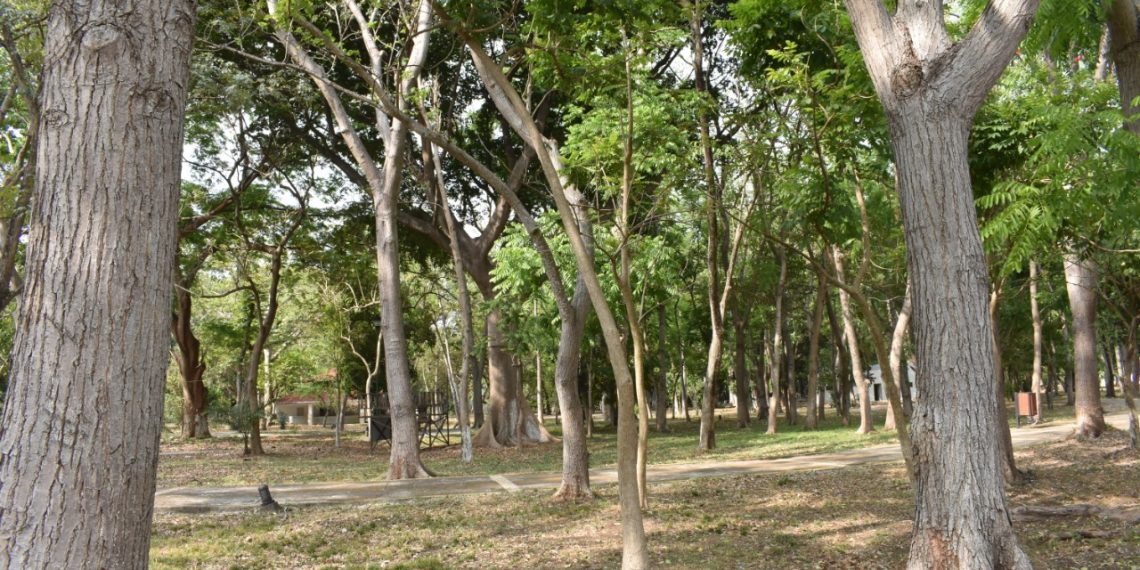 INVITAN AL CUIDADO DE LA BIODIVERSIDAD EN EL “DÍA DE LA TIERRA” EN TAPACHULA