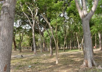 INVITAN AL CUIDADO DE LA BIODIVERSIDAD EN EL “DÍA DE LA TIERRA” EN TAPACHULA