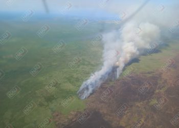 Sofocan incendio de la Reserva de la Biósfera “La Encrucijada”