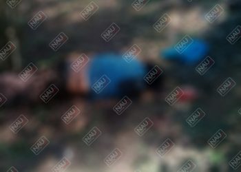 Le dieron en la cabeza con un objeto contundente y quedó sin vida