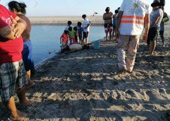 Se aventó un clavado en el estero de Barrita de Pajón y se murió desnucado