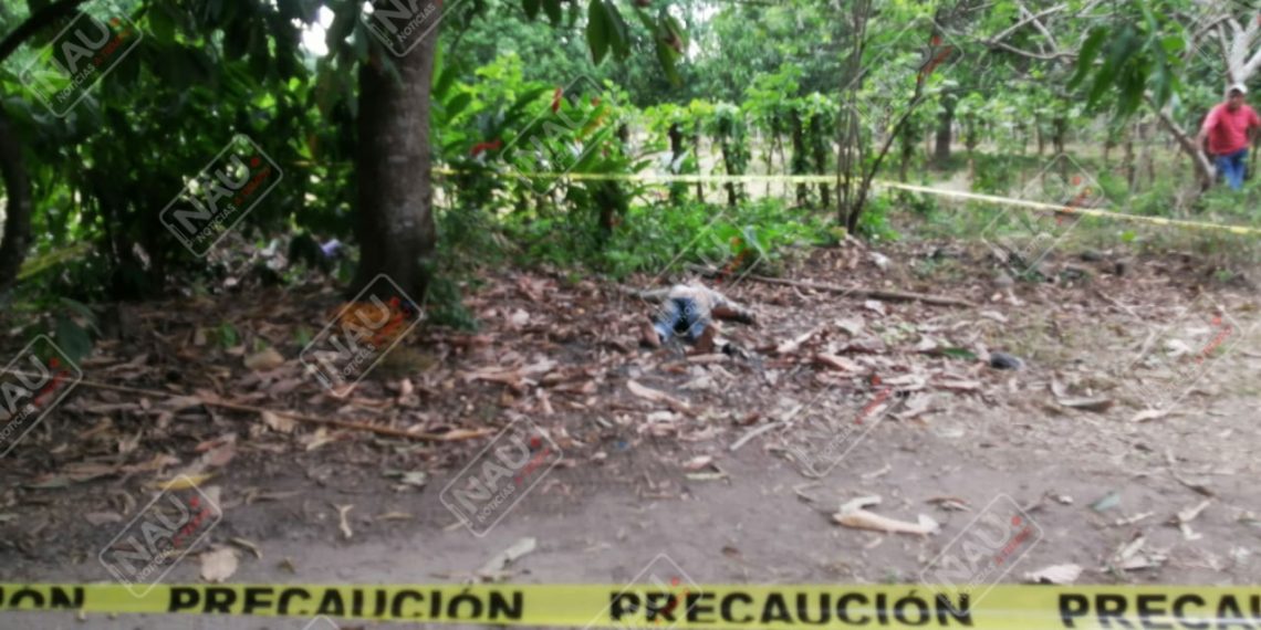 Muere migrante al caer de un árbol de mango en Huehuetán