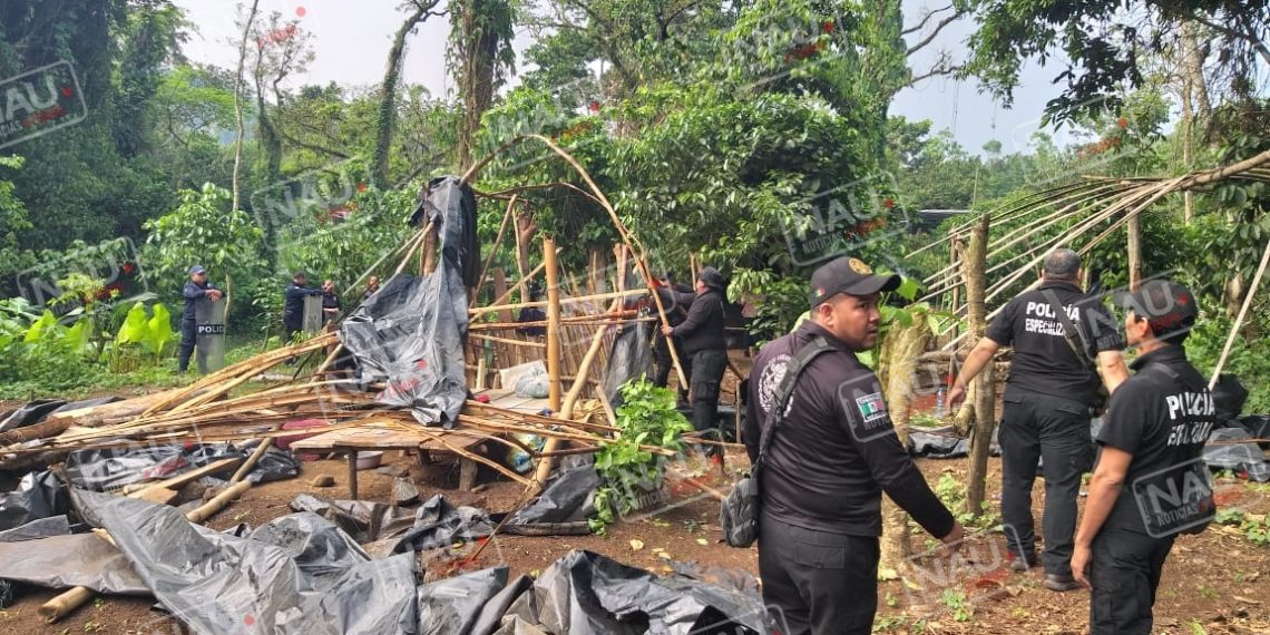 Regresan a su propietario 80 hectáreas de café invadido por un grupo de personas
