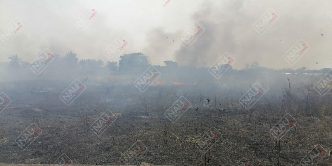 Tapachula bajo el humo por incendios de pastizales