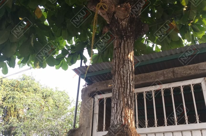 Se le rompió el lazo con que quiso quitarse la vida