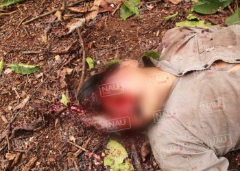 Guatemalteco falleció al caer de cabeza de un palo de coco en la zona media alta de Tapachula