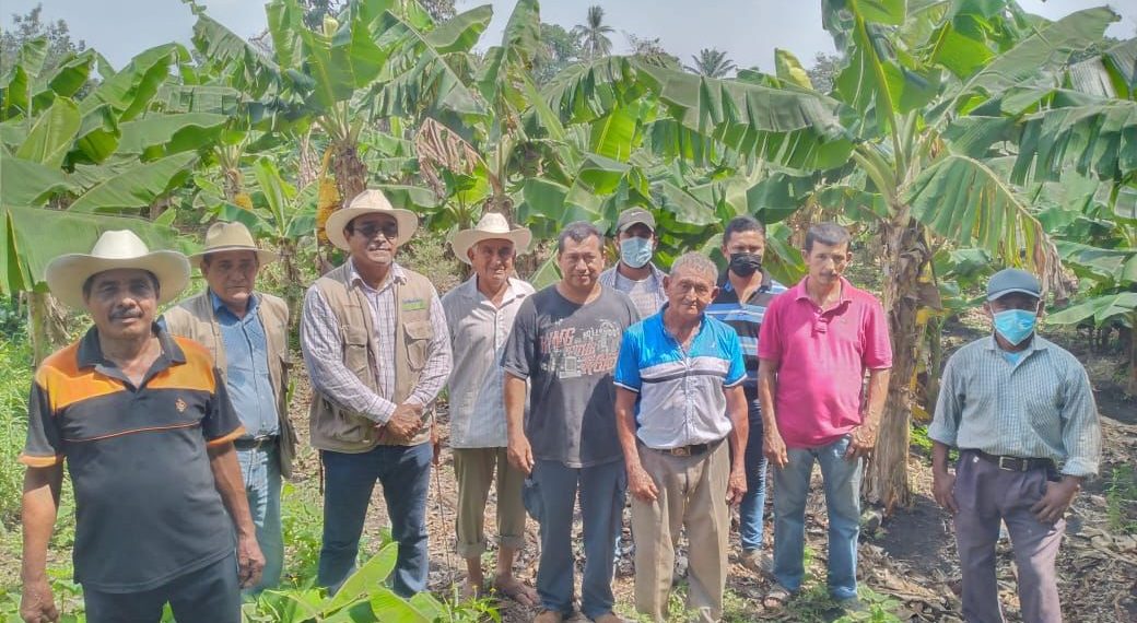 Biofábricas, Fuente De Abonos Orgánicos Para La Costa-Soconusco Y Sierra.
