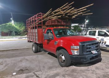 ASEGURAN CARGA DE MANGLE EN VEHÍCULO ABANDONADO EN PLAYA LINDA