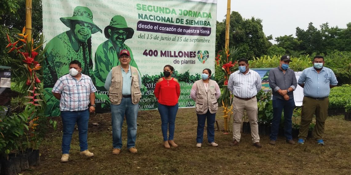 Inicia Segunda Jornada Nacional De Siembra En Regiones Costa, Soconusco Y Sierra