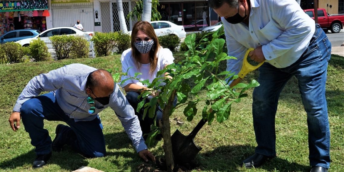EN EL DÍA MUNDIAL DEL ÁRBOL, AYUNTAMIENTO DE TAPACHULA IMPULSA ACCIONES DE REFORESTACIÓN